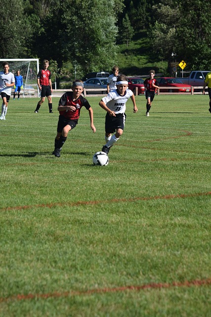 本文将探讨 本文将探讨