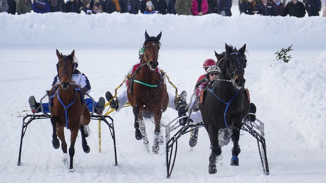 的稳定与联 的稳定与联